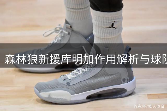 森林狼新援库明加作用解析与球队短板探讨