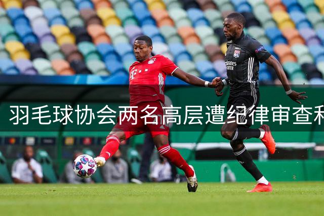 羽毛球协会两名高层遭纪律审查和监察调查